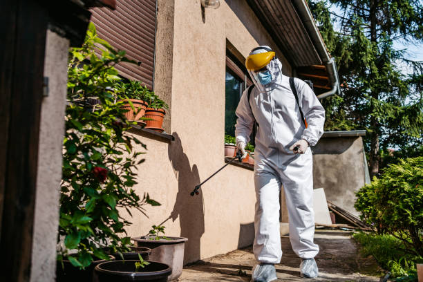 Best Flea Control Services  in Granite Falls, NC