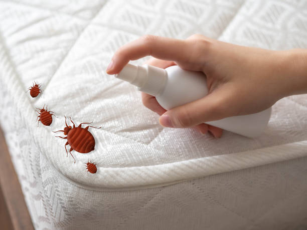 Best Exterminator Services  in Granite Falls, NC