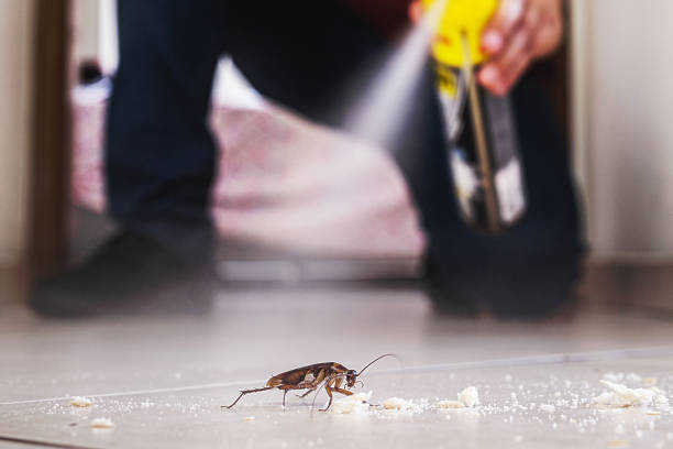 Bird Control in Granite Falls, NC