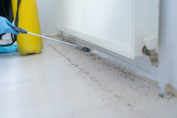  Granite Falls, NC Pest Control Pros