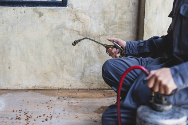 Best Affordable Pest Control Services  in Granite Falls, NC